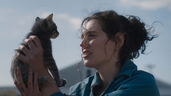 A person holding a small kitten up in the air with both hands in an outdoor setting.